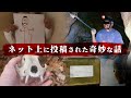 海外のネット上で話題になっていた奇妙な話。後半は少しホピ。