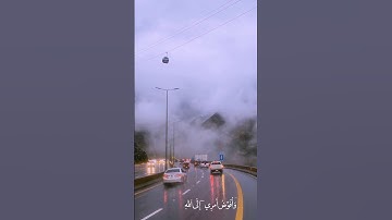 ما تيّسر من سورة غافر | آية ٤٤