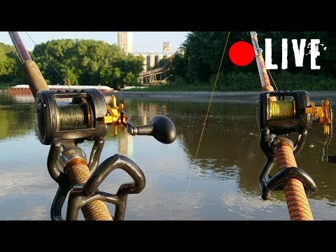 NEW Catfish Rod!!! from YouTube · High Definition · Duration: 7 minutes 58 seconds · 822 views · uploaded on 11/25/2017 · uploaded by FV-Catfish.com NEW Catfish Rod!!! from YouTube · High Definition · Duration: 7 minutes 58 seconds · 822 views · uploaded on 11/25/2017 · uploaded by FV-Catfish.com