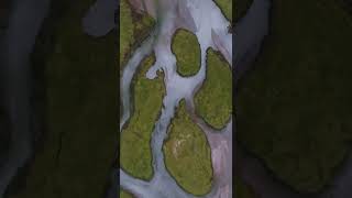 Ladakh In 3 Minutes Debashree & Sowmit