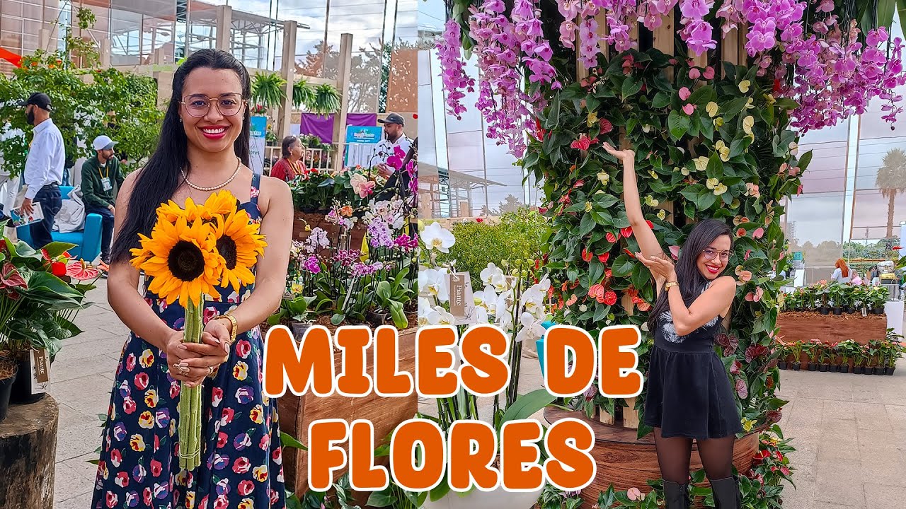 Esta feria de viveros es el sueño de todo apasionado por las plantas ExpoPlantas 2023 | Candy Bu