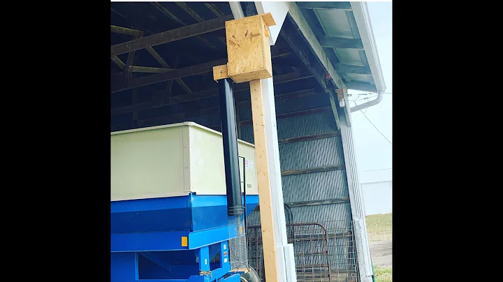 Catch Starlings with a Homemade Trap: Watch the Amazing Starling Catcher in Action!