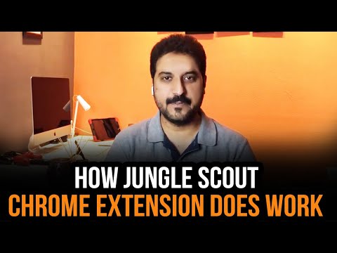 How Jungle Scout Chrome Extension does work