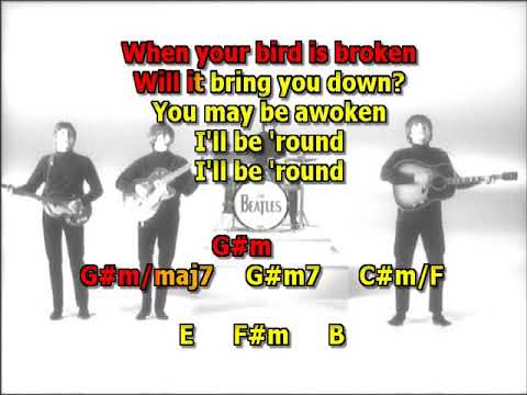 and-your-bird-can-sing-beatles-mizo-vocals-lyrics-chords-cover