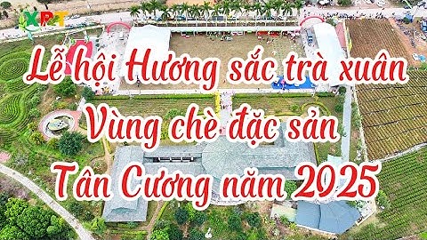 Lễ hội Hương sắc trà xuân - Vùng chè đặc sản Tân Cương năm 2025