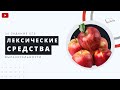 Лексические средства выразительности