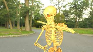 Midnight Skeleton
