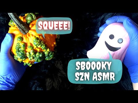 Making You Fall Asleep to the ASMR Sounds of My Pumpkins
