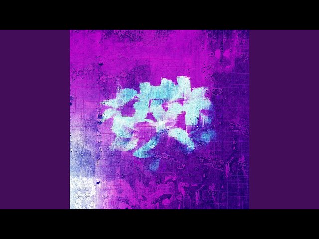 Purple Flowers