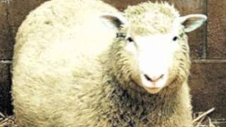 Reproductive Cloning.mov