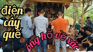 phái đoàn hành hương nhảy múa ở điện cây quế khi ông hổ về xác