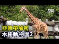動物星天頻道《亞熱帶解密：木柵動物園2》搶先看 [4K]