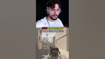 NEW CS2 BAYONET ANIMATION...