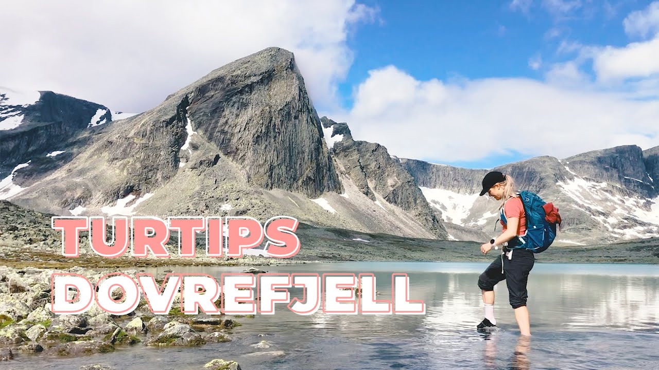 TURTIPS DOVREFJELL: Storstyggesvånåtinden (2209 moh.) // MOSKUS, SNØHETTA & TÅKE