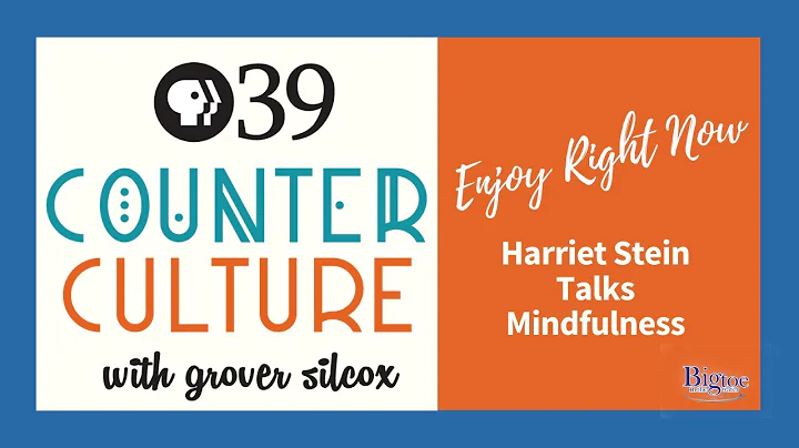 Experience Your Life Right Now - Harriet Stein Talks Mindfulness on PBS39s Counter Culture