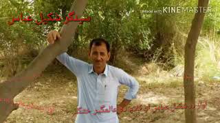 Shakeel Abbas New Songs 2019.5