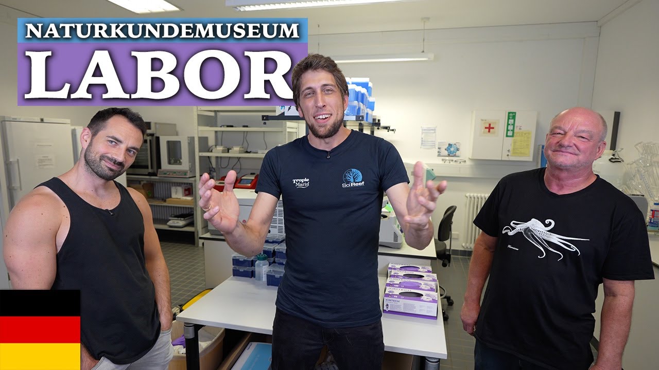 Das Labor im Naturkundemuseum Karlsruhe! - Zu Besuch bei Hannes