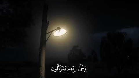 ﴿ الَّذِينَ صَبَرُوا وَعَلَىٰ رَبِّهِمْ يَتَوَكَّلُونَ﴾[ سورة النحل: 42]