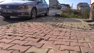 Arabaya Giren Yılan Nasıl Çıkartılır. Resimi