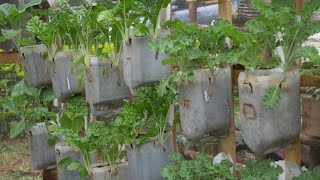 How to make a simple drip garden - Farm Kenya