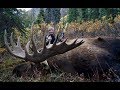 HUGE MOOSE, DALL'S SHEEP, AND MULE DEER! | L2H S09E12  "Traveling Warrior"