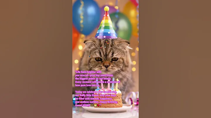 Watch the video about 🐱🎂 British Shorthair Kitten’s Birthday Party Will Melt Your Heart 💖🐾 #cute #pets #catlovers #cutecat