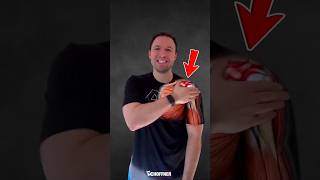 Shoulder Impingement — Progression Series
