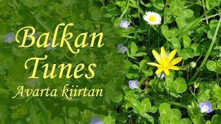 Balkan Tunes - Avarta Kiirtan