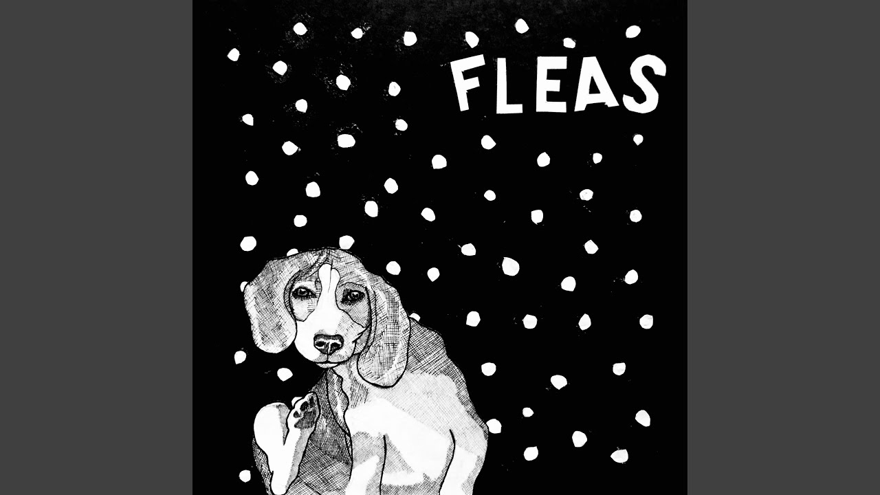 Watch Fleas on YouTube Watch Fleas on YouTube