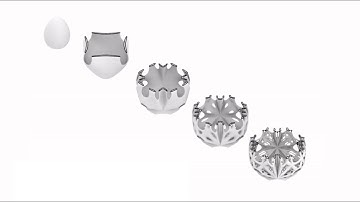 Anemone Loop - COmputational DEsign using Grasshopper 2