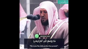 ان الذين سبقت لهم منا الحسنى🌸تلاوة خاشعة من الحرم المكي للشيخ ماهر المعيقلي حالات واتس اب دينية قرآن