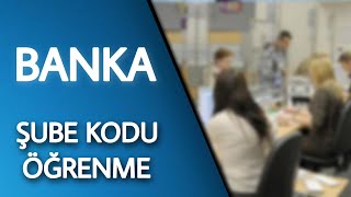 Banka Şube Kodu Öğrenme - Şube Kodu Nerede Yazar