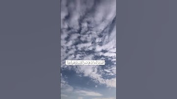سورة الكهف حالات وتس
