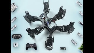 CR-6 Hexapod robot demo video