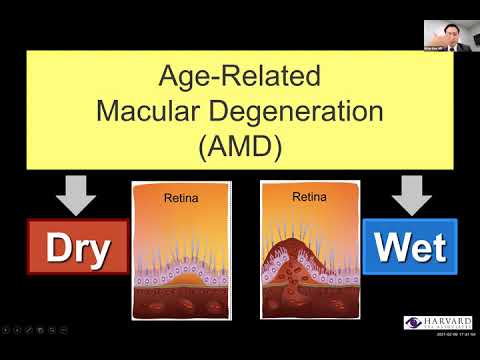 Harvard Eye Associates AMD Webinar- AMD and Low Vision Awareness Month