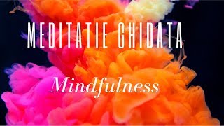 Meditatie Ghidata | Mindfulness Pentru Incepatori