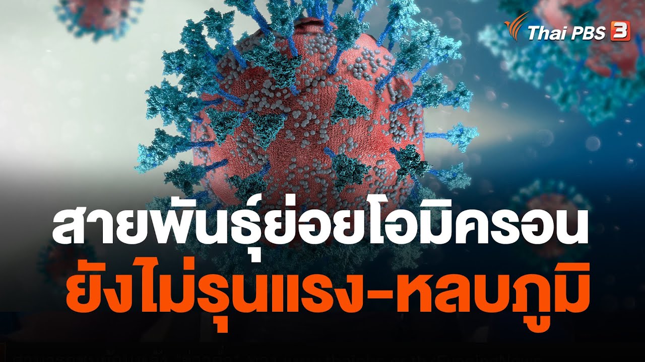 สายพันธุ์ย่อยโอมิครอน ยังไม่รุนแรง หลบภูมิ | ข่าวค่ำมิติใหม่ | 17 เม.ย. 66