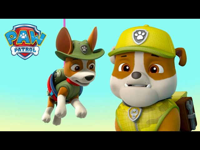 Les chiots de Jungle Rescue sauvent Tracker, le petit singe Hairy! - PAW Patrol dessins animés class=