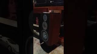 Infinity RS-6 Speakers - &#39;&#39; Alone Again &#39;&#39; by : Tok Tok Tok