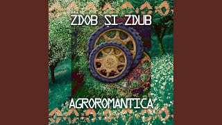 Video thumbnail of "Zdob și Zdub - Primăvara"