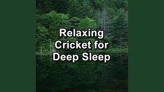 Forest Cricket Sounds screenshot 4