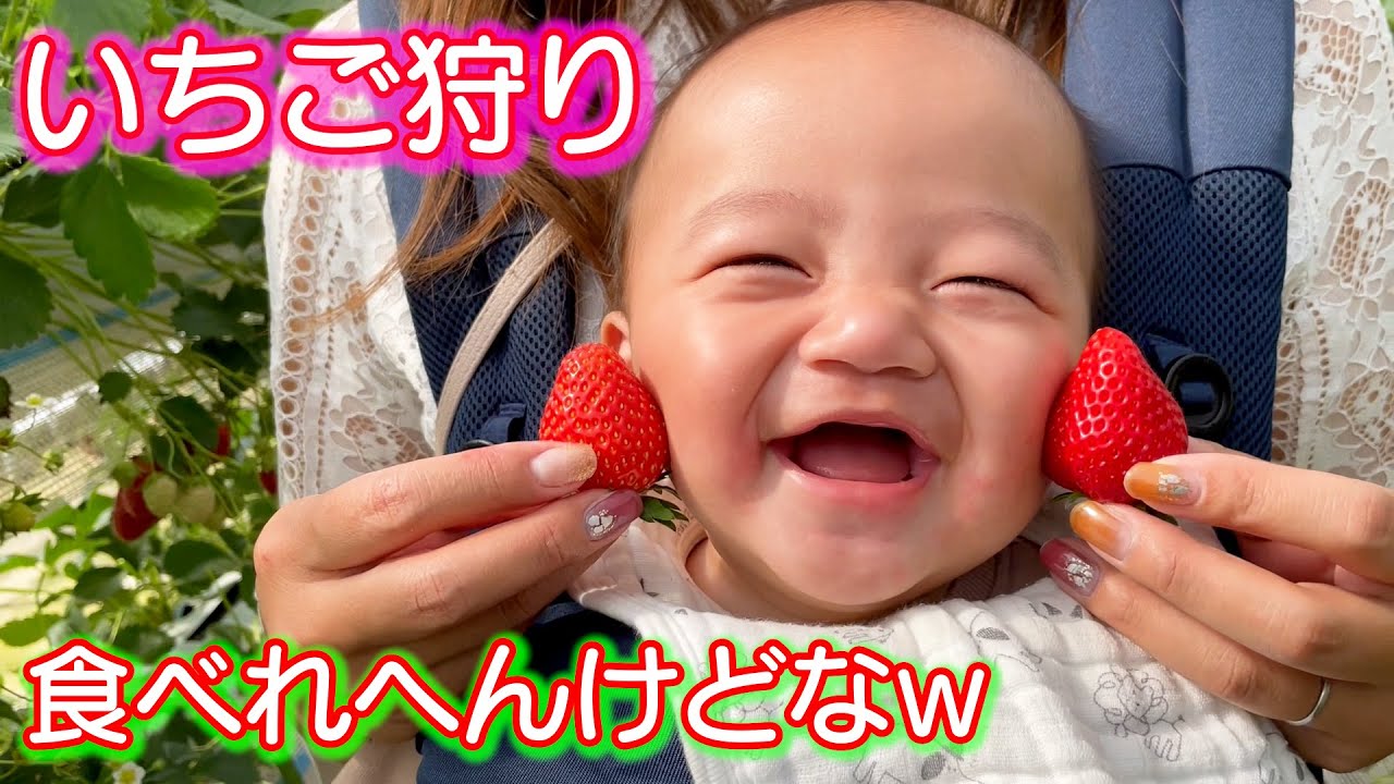 いちご狩りに連れ回される赤ちゃん いつもごめんね Youtube