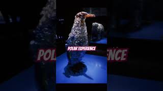 Polar Experience Berlin  von 6.12.2025 bis 6.04.2026 #arenaberlin #berlin