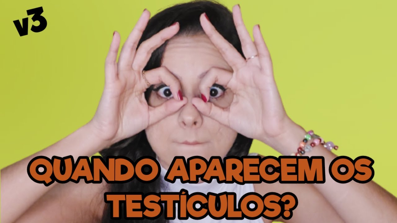 Quando Aparece Os Testículos Do Gato?