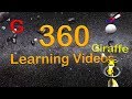 Letter the Letter G - 360° 3D VR Animated Kids Video