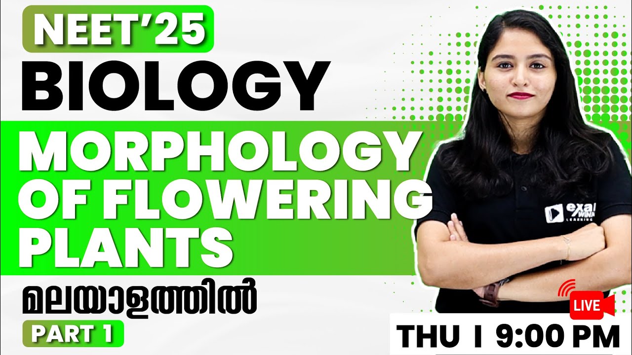 NEET 2025 BIOLOGY | MORPHOLOGY OF FLOWERING PLANTS PART 1 | EXAM WINNER ...
