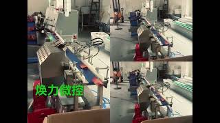 Automatic bag sorting machine 