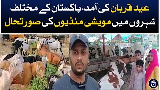 Eid -ul-Adha 2023: Situation of cattle markets in different cities of Pakistan - Aaj News