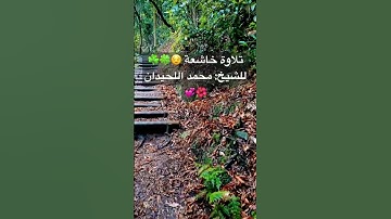 تلاوة خاشعة ☘️😌😌🍀 للشيخ: #محمد_اللحيدان #قران_كريم #قرآن #المصحف #اكسبلور