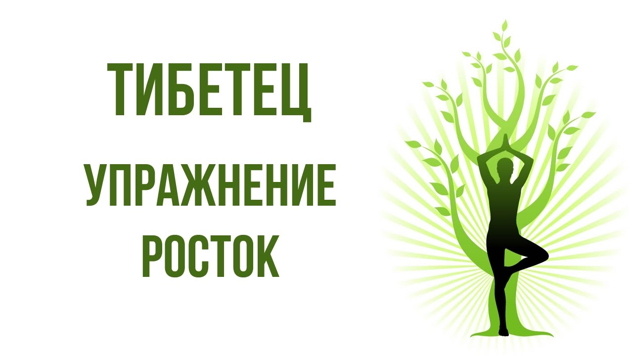 Оздоровительная система упражнение Росток
